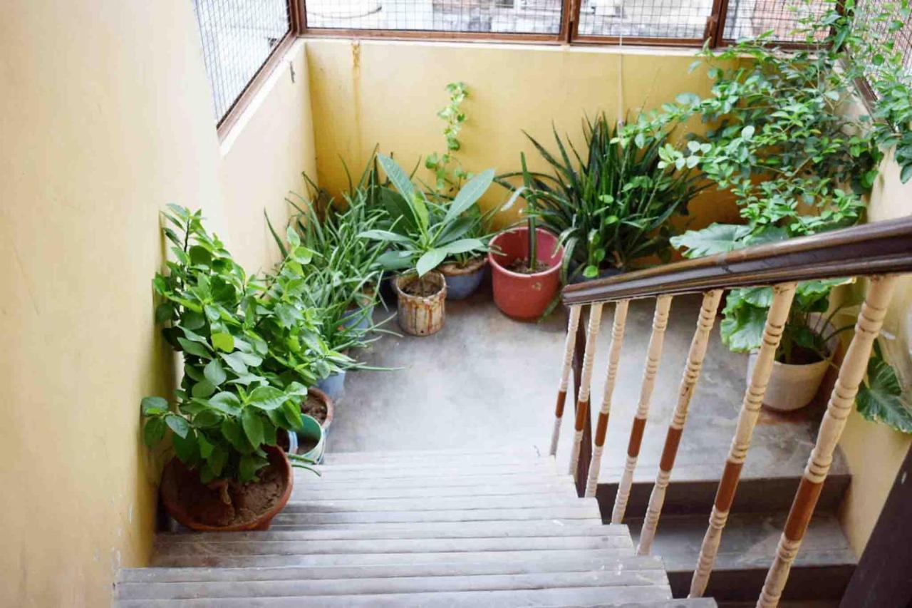 Family Guest House Varanasi Eksteriør billede